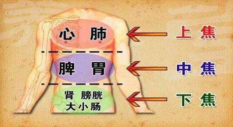 What is Health Preservation? What Exactly Does It Preserve?