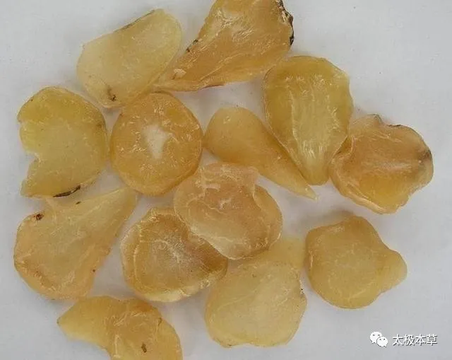 The Three Realms of Aconite: First, Warming Yang; Second, Generating Qi; Third, Warming the Kidneys and Receiving Qi