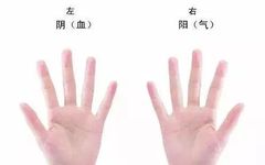 As a TCM Practitioner, Mastering Pulse Diagnosis is Essential! A Simple and Understandable Explanation for You