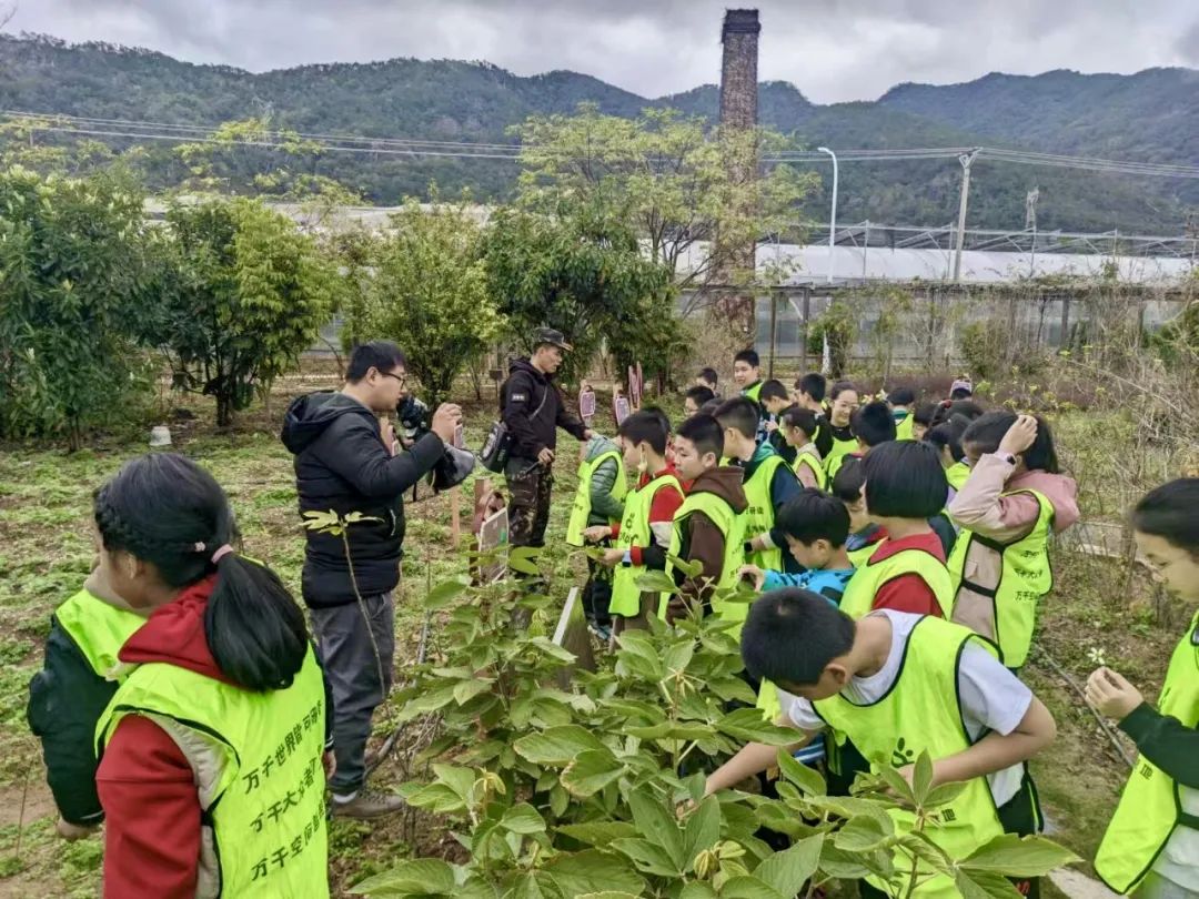 Exploring Medicinal Herbs and Agricultural Experiences: Class 2 of 2020 at Park Primary School Enjoys Springtime in the Fields