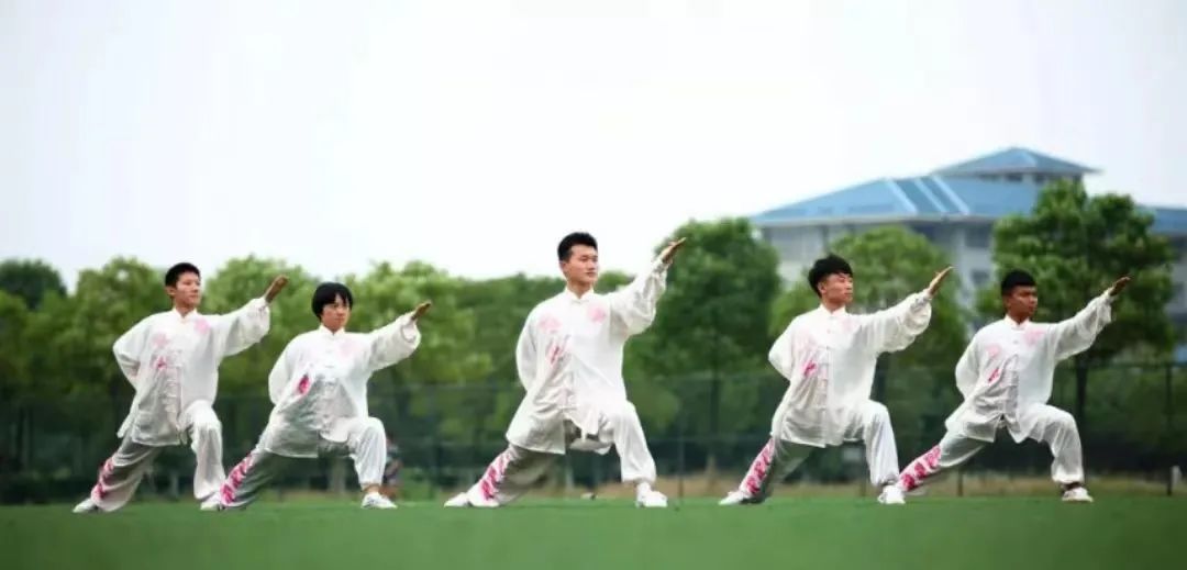 Understanding Qi Deficiency Constitution in Traditional Chinese Medicine
