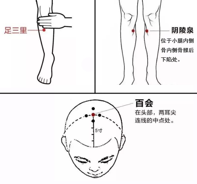 Identification and Regulation of Qi Deficiency Constitution in Traditional Chinese Medicine