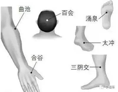 103 Acupuncture Points for Healing and Massage: A Valuable Collection