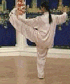 Comprehensive Guide to Tai Chi Movements: Exercise at Home!