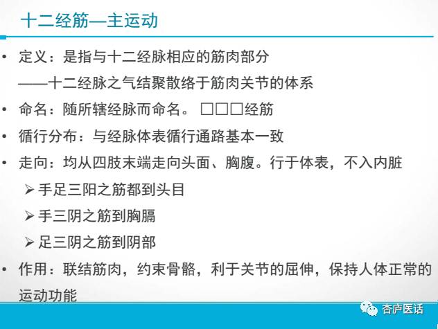 Discussing the Theory of Meridians in Traditional Chinese Medicine - Collaterals, Tendons, and Skin Areas