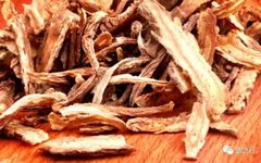 The Efficacy and Functions of Angelica Sinensis: Nourishing Blood, Activating Circulation, Strengthening the Heart, Preventing Thrombosis, Promoting Bowel Movement, and Enhancing Immunity