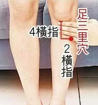 47 Unique Acupuncture Points Worth Seeing! (Collector's Edition)