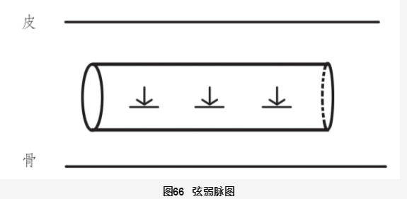 Understanding the Xian Pulse in Traditional Chinese Medicine