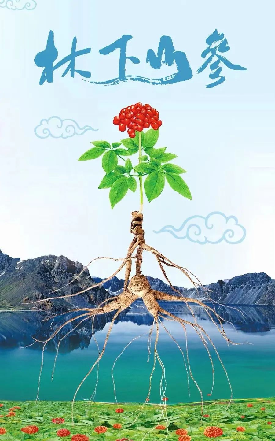 Everything You Need to Know About Fresh Ginseng!