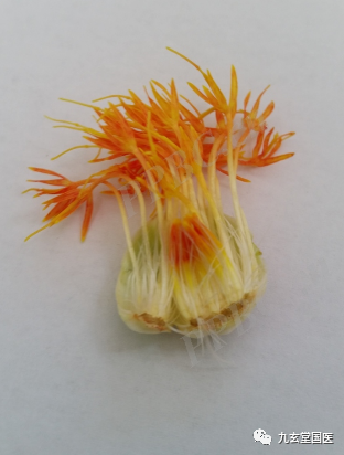 Traditional Chinese Medicine: The Properties and Uses of Honghua (Safflower)
