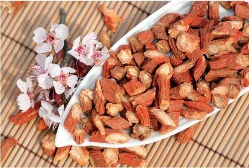 Understanding Danshen (Salvia miltiorrhiza) in Traditional Chinese Medicine