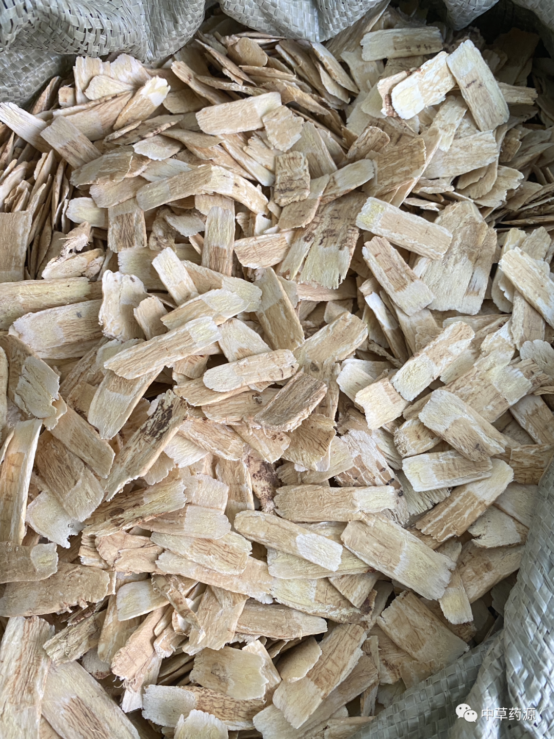 Appreciation of Traditional Chinese Medicine: Huangqi (Astragalus Root)