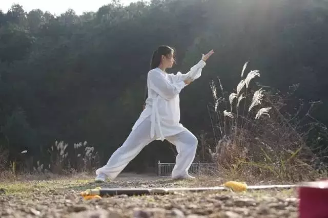 Five Essential Points of Tai Chi Practice