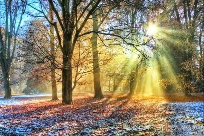 A Brief Discussion on 'Supporting the Right and Expelling the Evil'