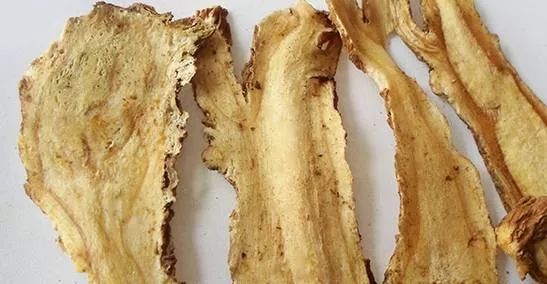 Angelica Sinensis: A Sacred Herb for Women's Health