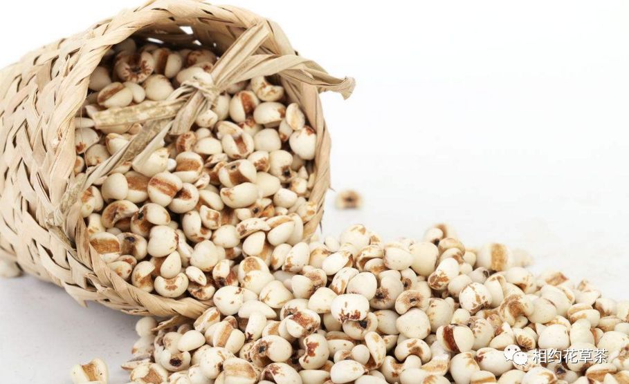 Nutritional Benefits of Various Grains and Beans (Part 1)