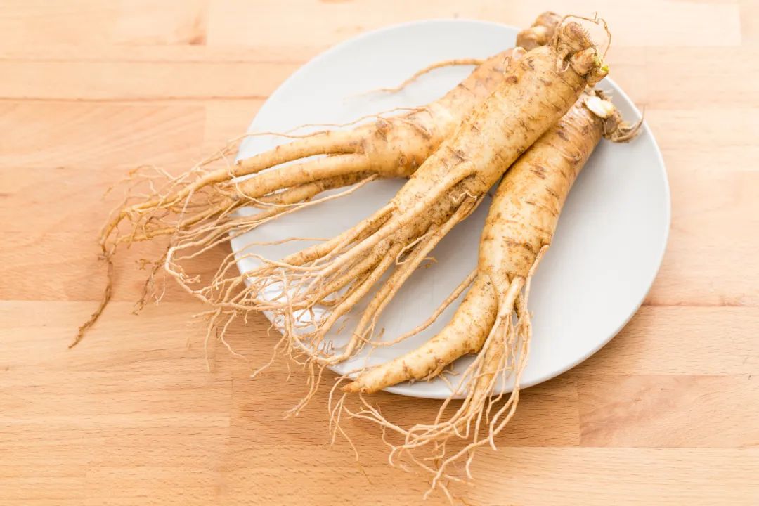 Understanding the Differences Among Various Ginsengs and Precautions for Use