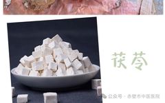 Understanding Common Chinese Herbs: Fu Ling (Poria)