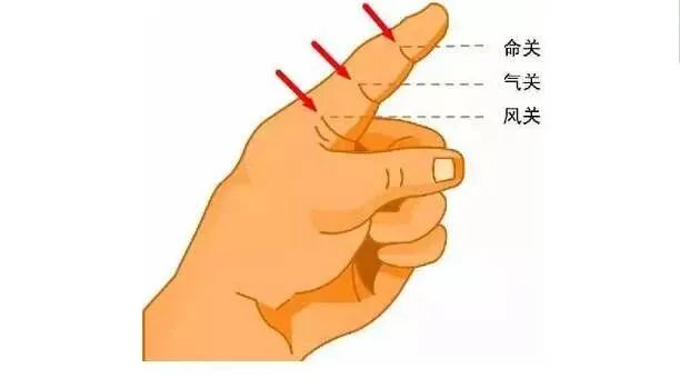 Observing Children's Fingerprints: The Secrets Hidden in Small Palms