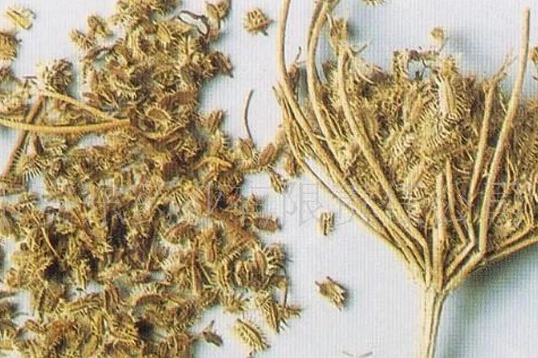 The Story of Tianmingjing: Treating Toothache