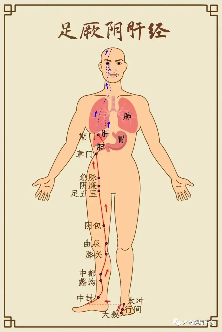 Ye Tianshi's Gynecological Case Study Notes: Three Methods for Regulating Menstruation and Balanced Supplementation