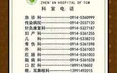 Understanding Shudi Huang (Rehmannia Glutinosa) in Traditional Chinese Medicine