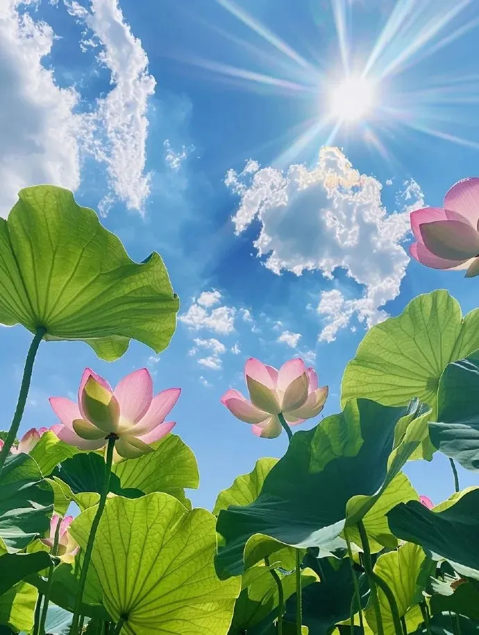 15 Health Tips for Daily Wellness: Learn a Little Each Day for Better Health