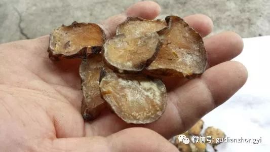 Fuzi: The Divine Weapon to Support Yang Qi and the Primary Medicine for Rescuing Yang from Reversal!