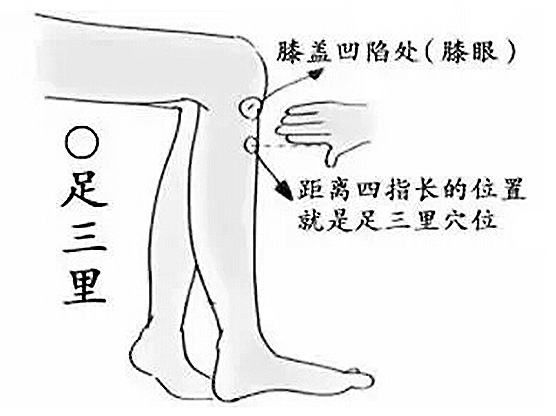 Essential Knowledge of Traditional Chinese Medicine You Must Understand