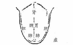 Holographic Diagnosis in Traditional Chinese Medicine: Observation, Pulse Diagnosis, and Mapping