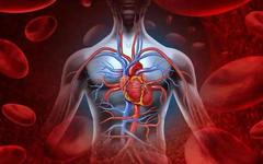 Does Long-term Blood Deficiency Lead to Yin Deficiency? Symptoms and Consequences of Prolonged Blood Deficiency