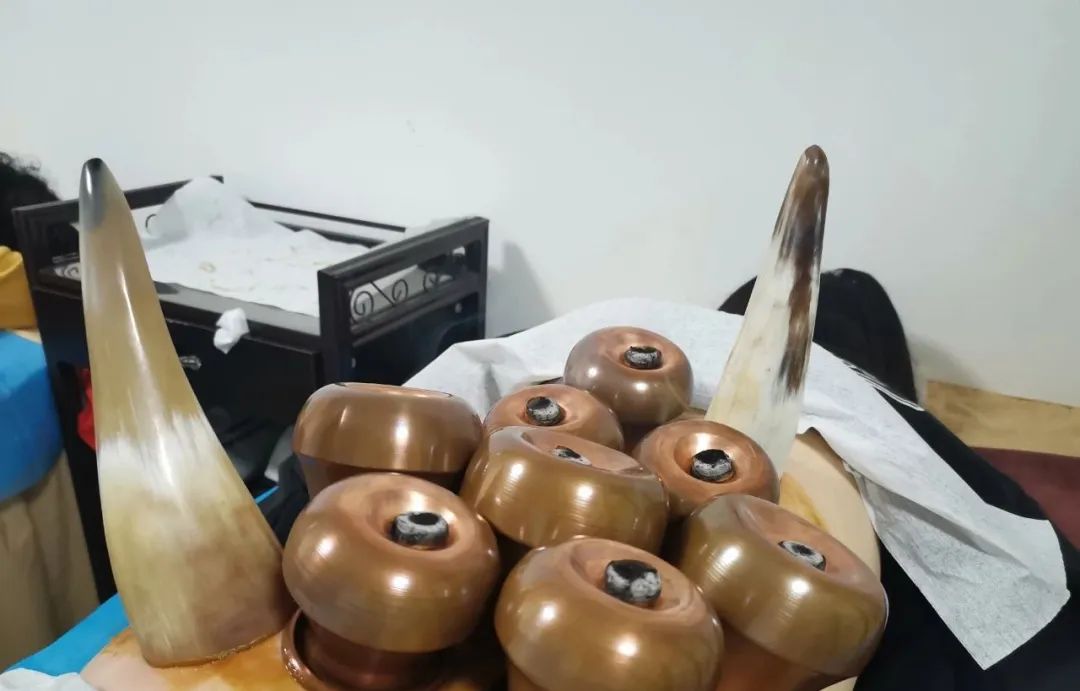 Orthopedic Specialty Therapy - Horn Cupping Therapy