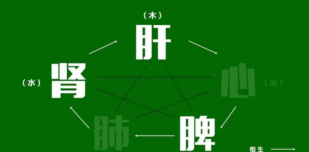 Humidity and Heat in the Lower Body: 6 Chinese Patent Medicines to Clear Damp-Heat and Refresh Your Body