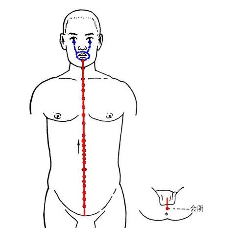 The Eight Extraordinary Meridians: A Major Remedy for Comprehensive Healing, Including Diagrams!