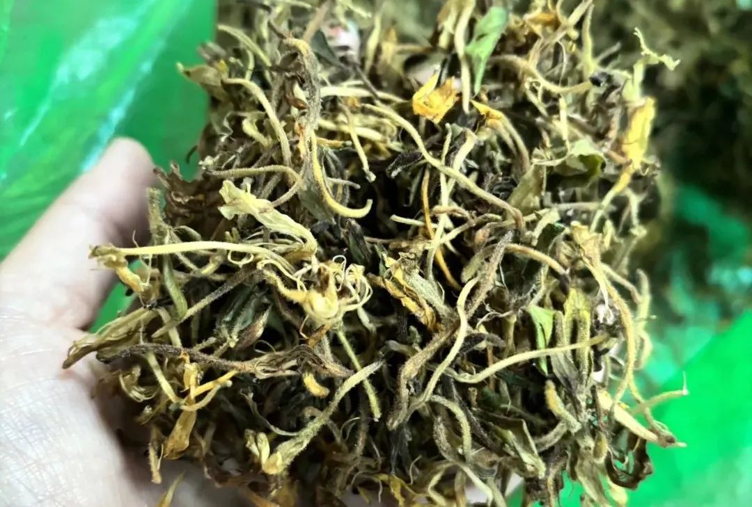 Honeysuckle: The First Flower for Clearing Heat and Detoxification, A Must-Try Herbal Tea for Health