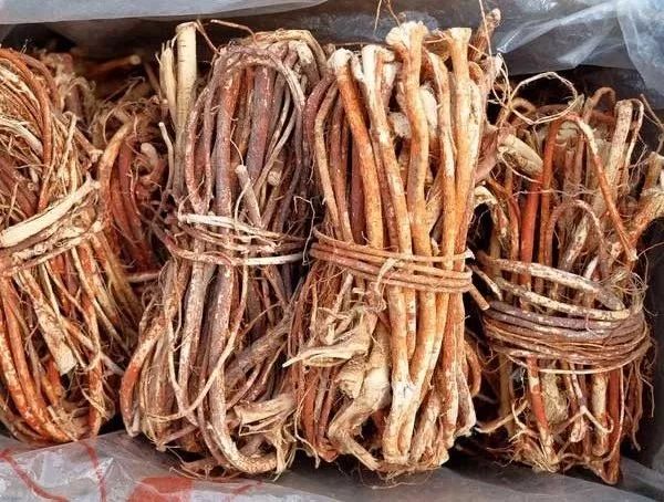 The 'Guan Dong Ginseng': A Soup Ingredient for Dampness and Heat Relief Suitable for All Ages