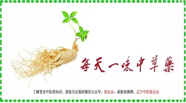 Daily Herb 102: Safflower - Do You Know the Origin of Rouge?