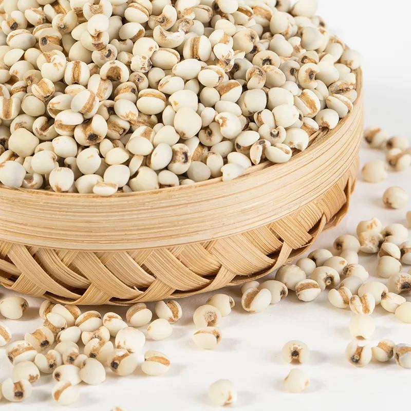 How to Cultivate Coix Seed (Yi Yi Ren)