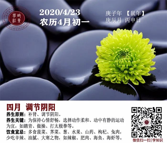 Understanding Dampness in Traditional Chinese Medicine: Symptoms, Effects, and Remedies