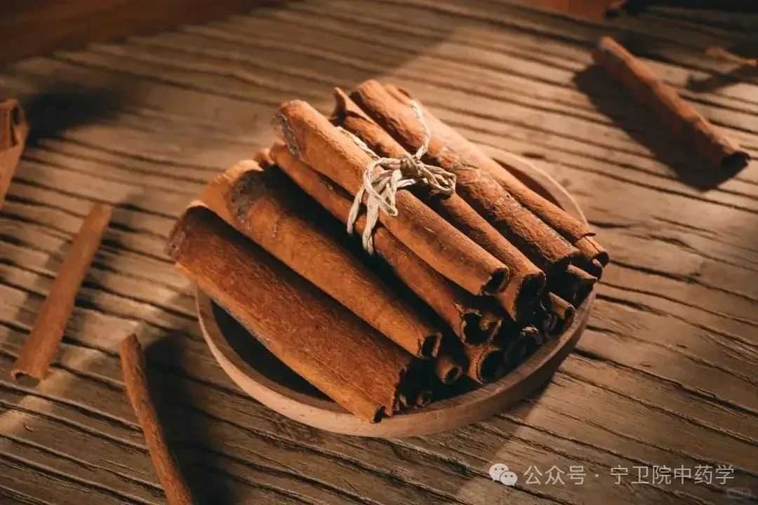 Exploring Cinnamon: Understanding Its Varieties and Uses in TCM