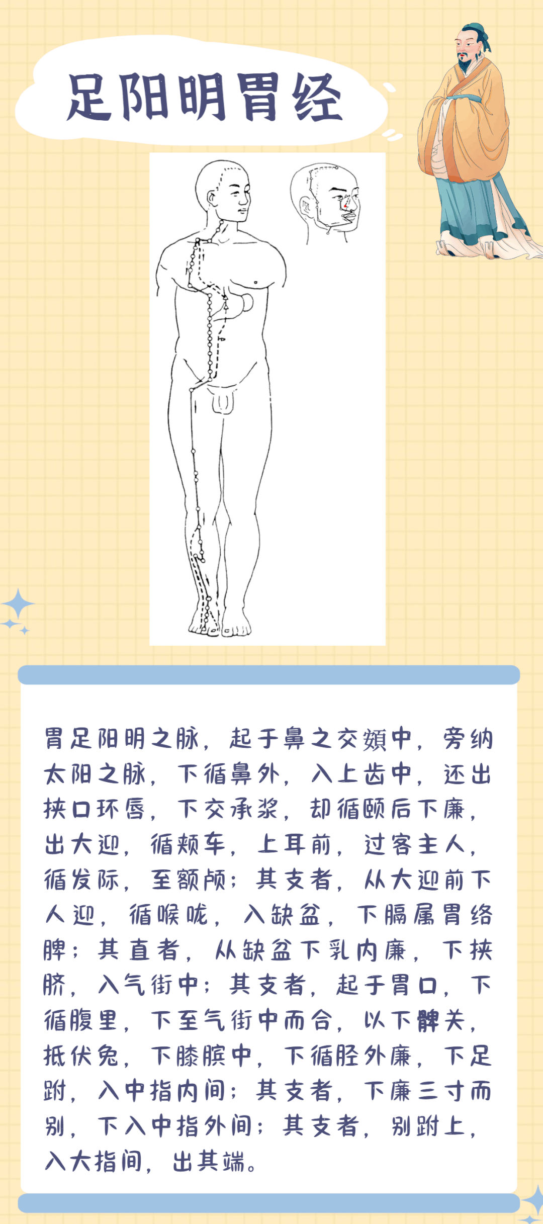 Illustration of the Twelve Meridians: A Worthy Focus