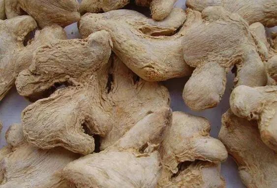 The Miraculous Herb: Dried Ginger