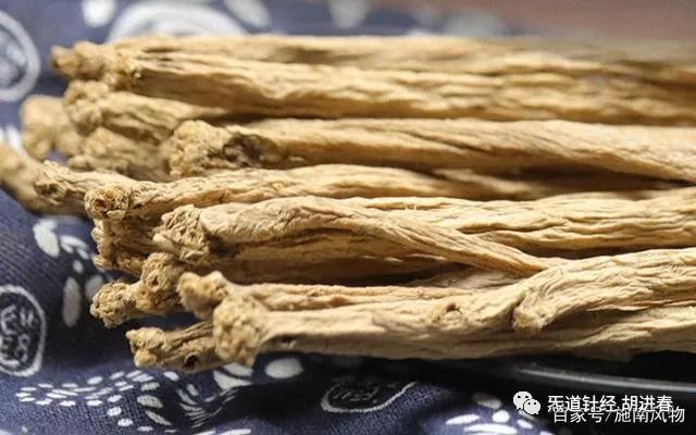 Daily Learning of a Chinese Herb: Dang Shen (Codonopsis)