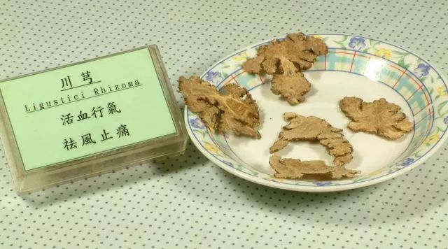 Understanding a Chinese Herb Every Day: Chuanxiong (Ligusticum chuanxiong)