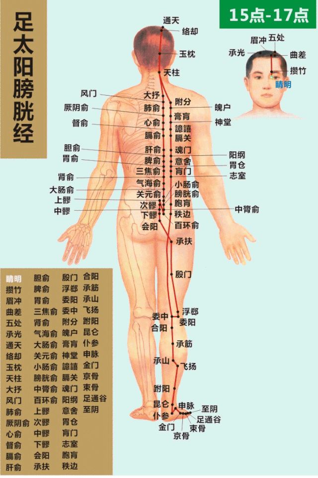 Summary of 90 Acupuncture Points and Their Therapeutic Functions with Illustrations! (Recommended for Collection)