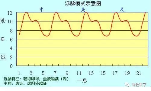 Summary of Pulse Diagnosis in Traditional Chinese Medicine