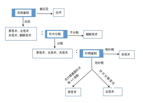 A Comprehensive Overview of Atractylodes (Cang Zhu) and Its Medicinal Value