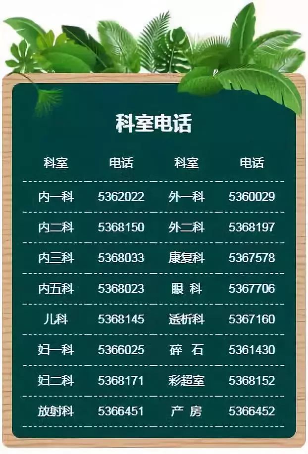 Traditional Chinese Medicine Herb: Cang Zhu (Atractylodes Rhizoma)