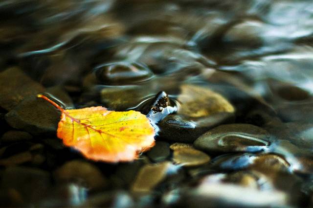 The Power of the Five Elements in Traditional Chinese Medicine