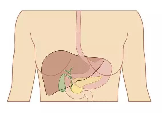 How Does Traditional Chinese Medicine Treat Liver Qi Stagnation?